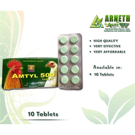 AMTYL 500 TABLET (10 TABLETS) .
